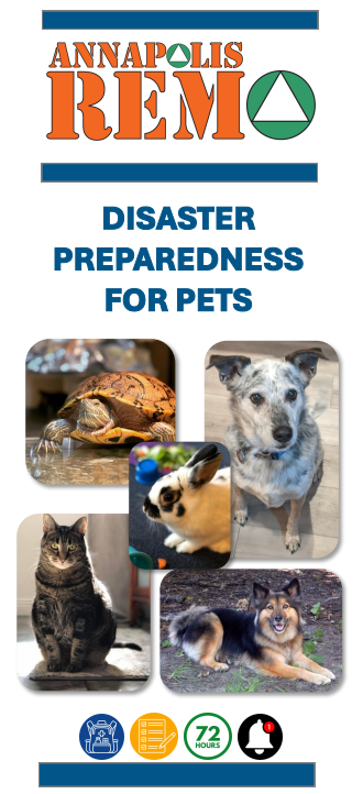 Pet Brochure Screenshot